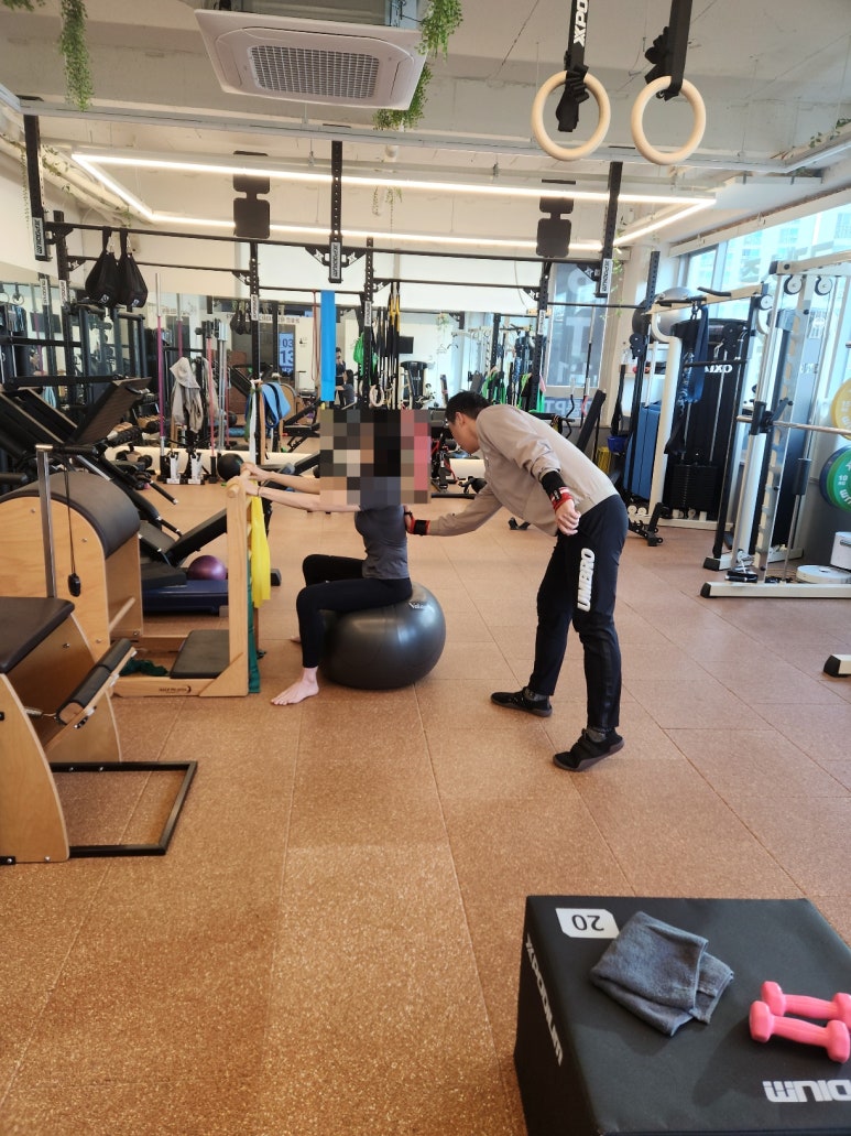 동탄 재활 운동 트레이너 1:1 수업